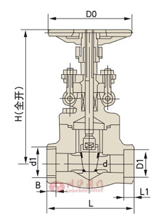 國標(biāo)鍛鋼閘閥結(jié)構(gòu)圖